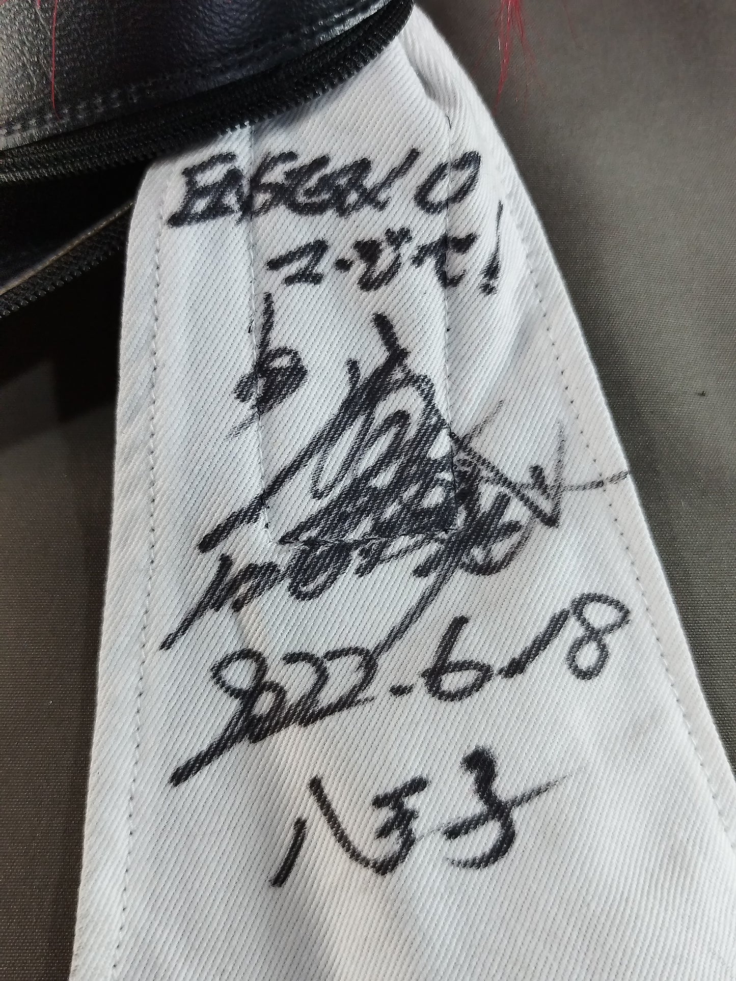 BUSHI