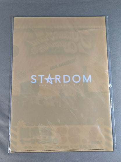 Allstar Grand Queendom 2023 plastic file folder