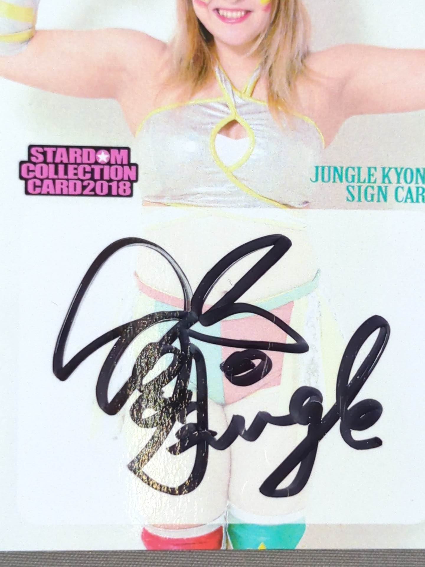 スターダム2018 中野たむ 直筆サインカード STARDOM Nakano Tam SIGN CARD