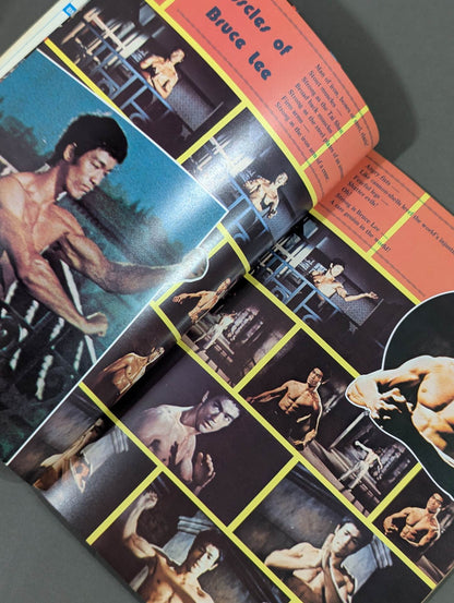 BRUCE LEE THE IMMORTAL DRAGON