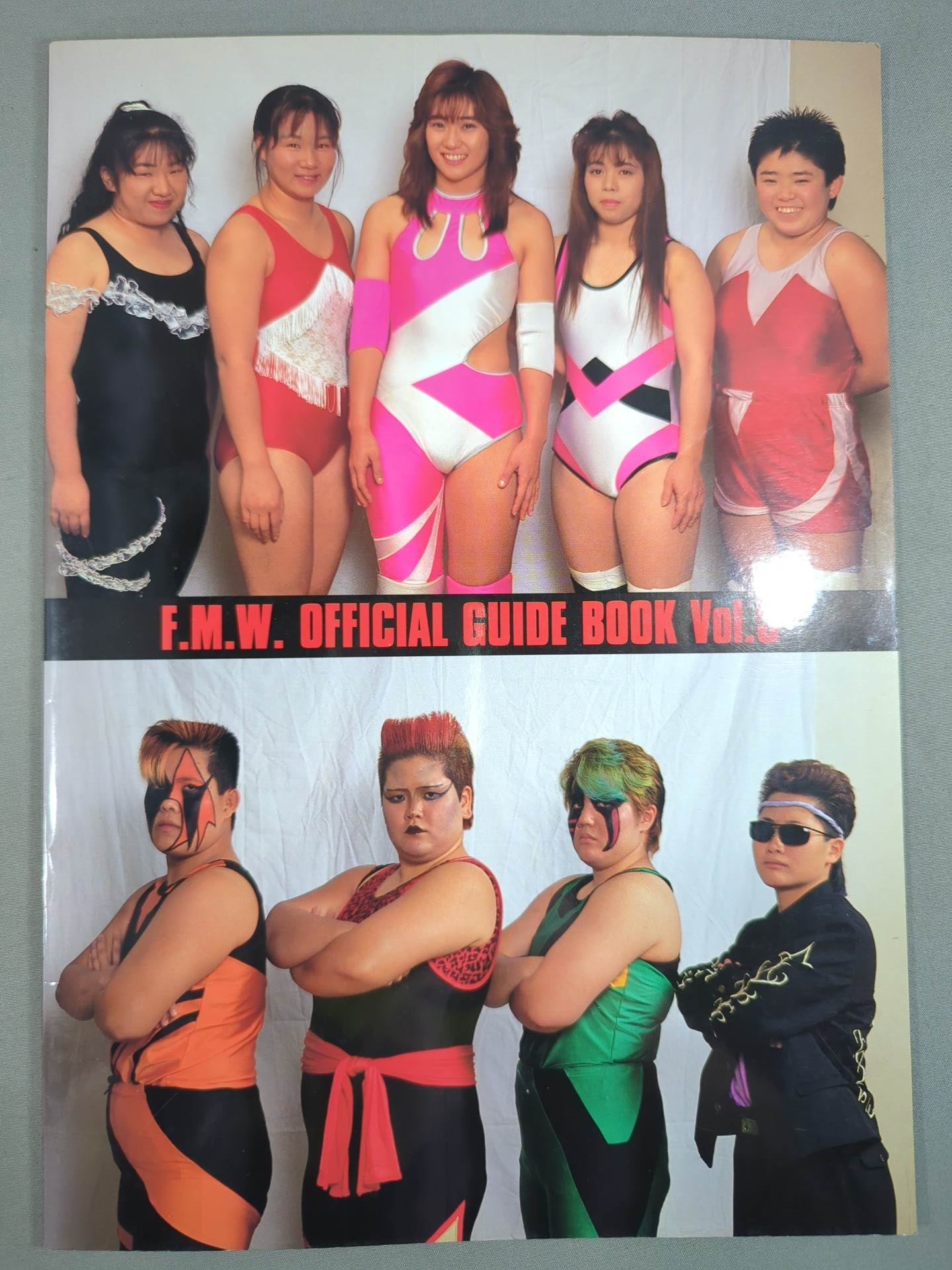 F.M.W. OFFICIAL GUIDE BOOK 1994 Vol.5