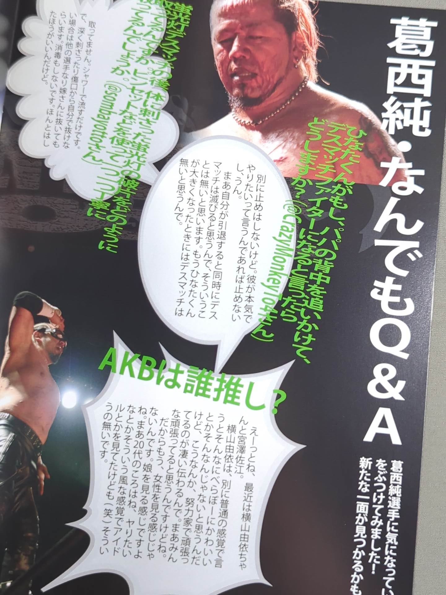 PAIN LIMIT 2011 / FREEDOMS通信 No.3