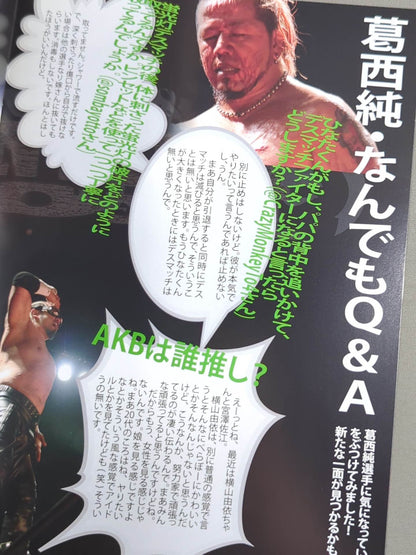 PAIN LIMIT 2011 / FREEDOMS通信 No.3