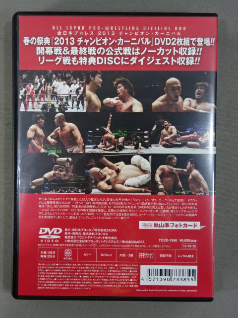 All Japan Pro Wrestling 2013 Champion Carnival