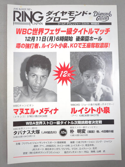 マヌエル・メディナvsルイシト小泉