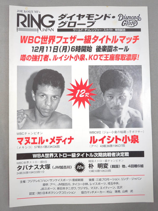 マヌエル・メディナvsルイシト小泉