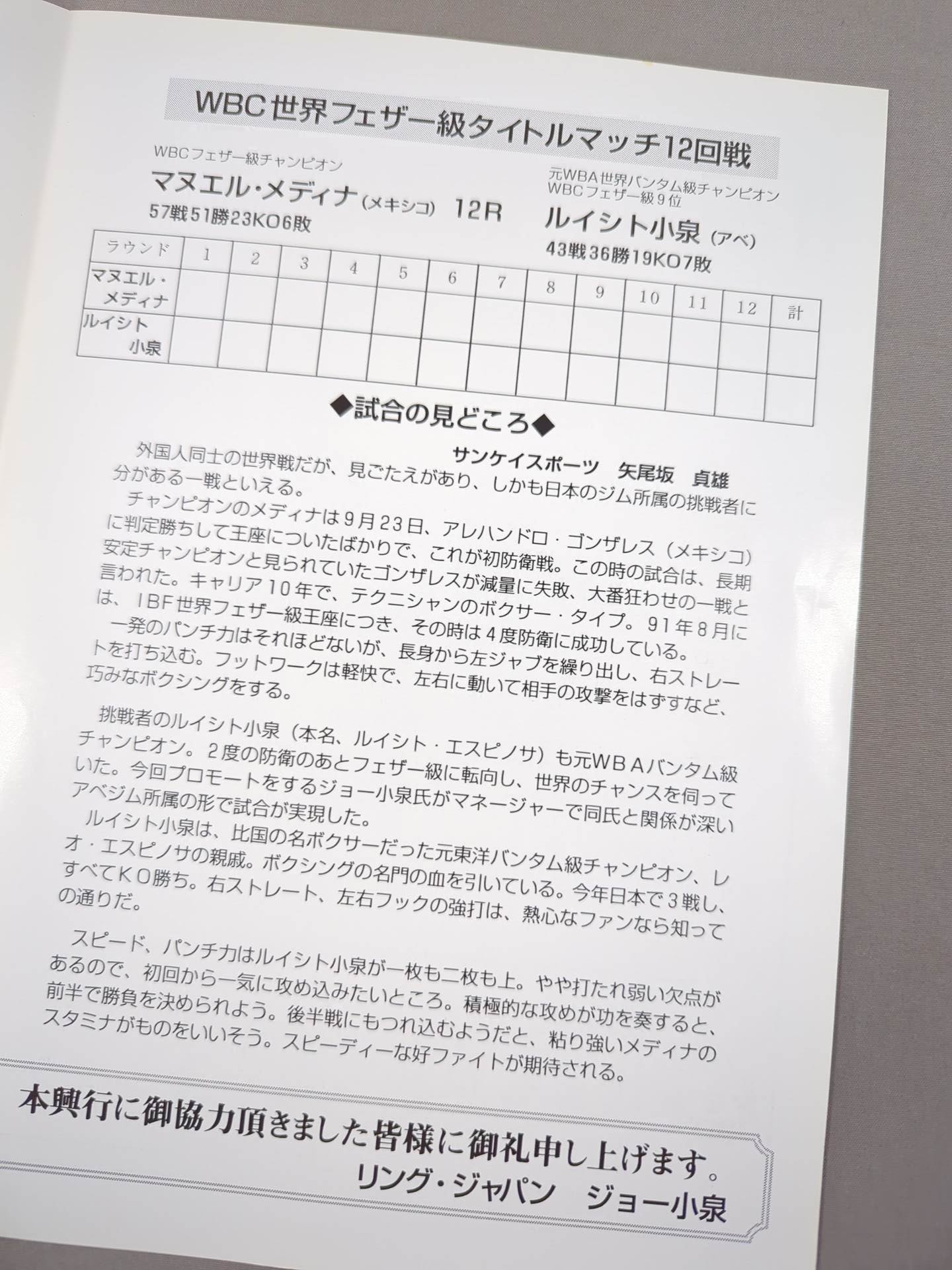 マヌエル・メディナvsルイシト小泉