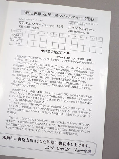 マヌエル・メディナvsルイシト小泉