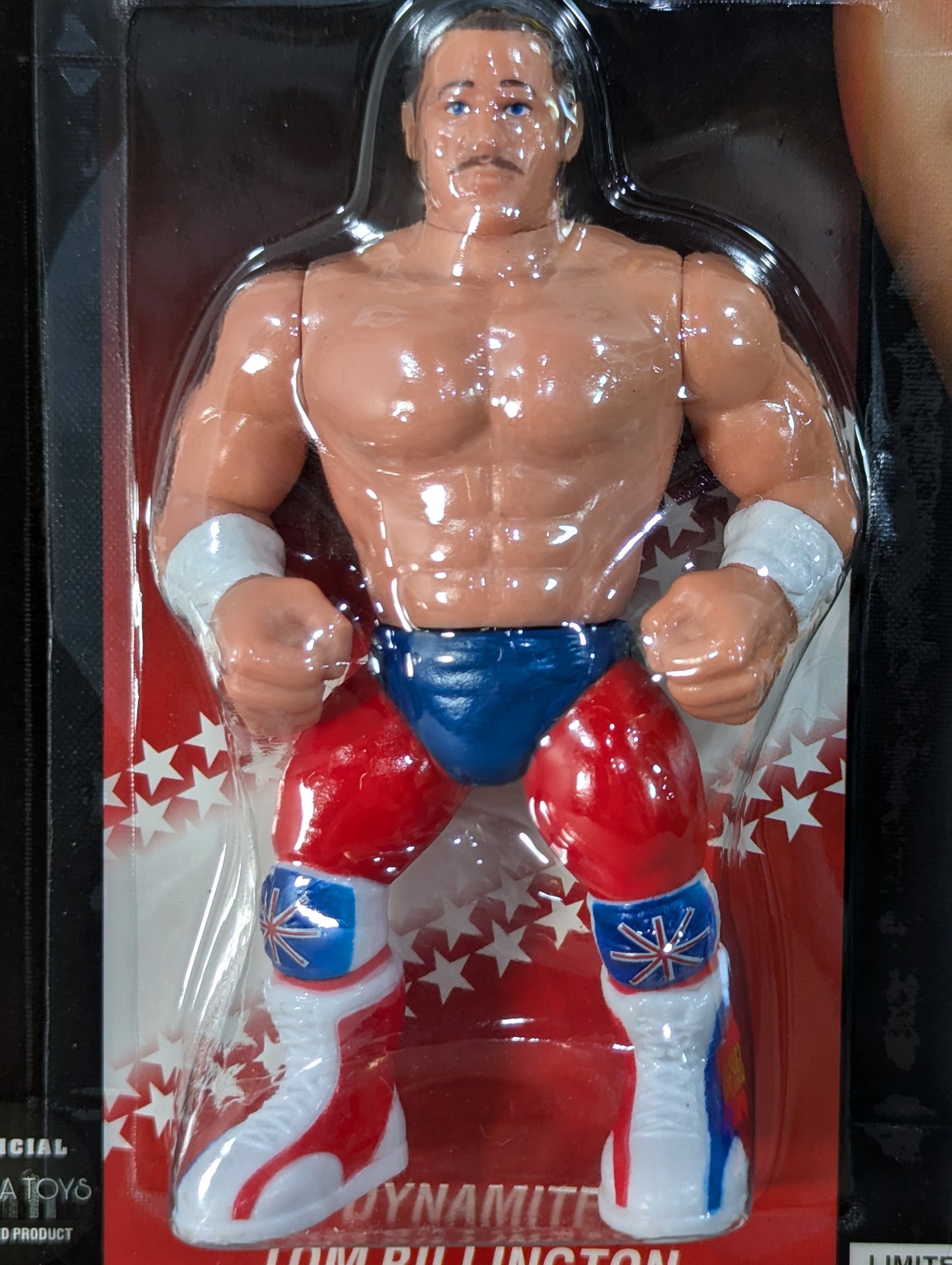 Dynamite Kid / Tom Billington (Wrestling Megastars)