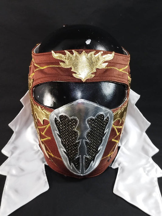 HAYABUSA 