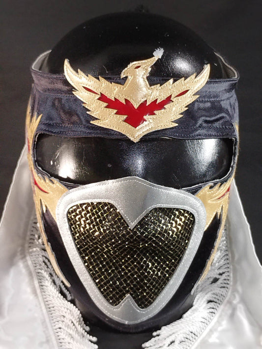 HAYABUSA 