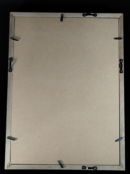 ★ Shining Wizard ★ Great Muta Hand signed autograph  photo frame
