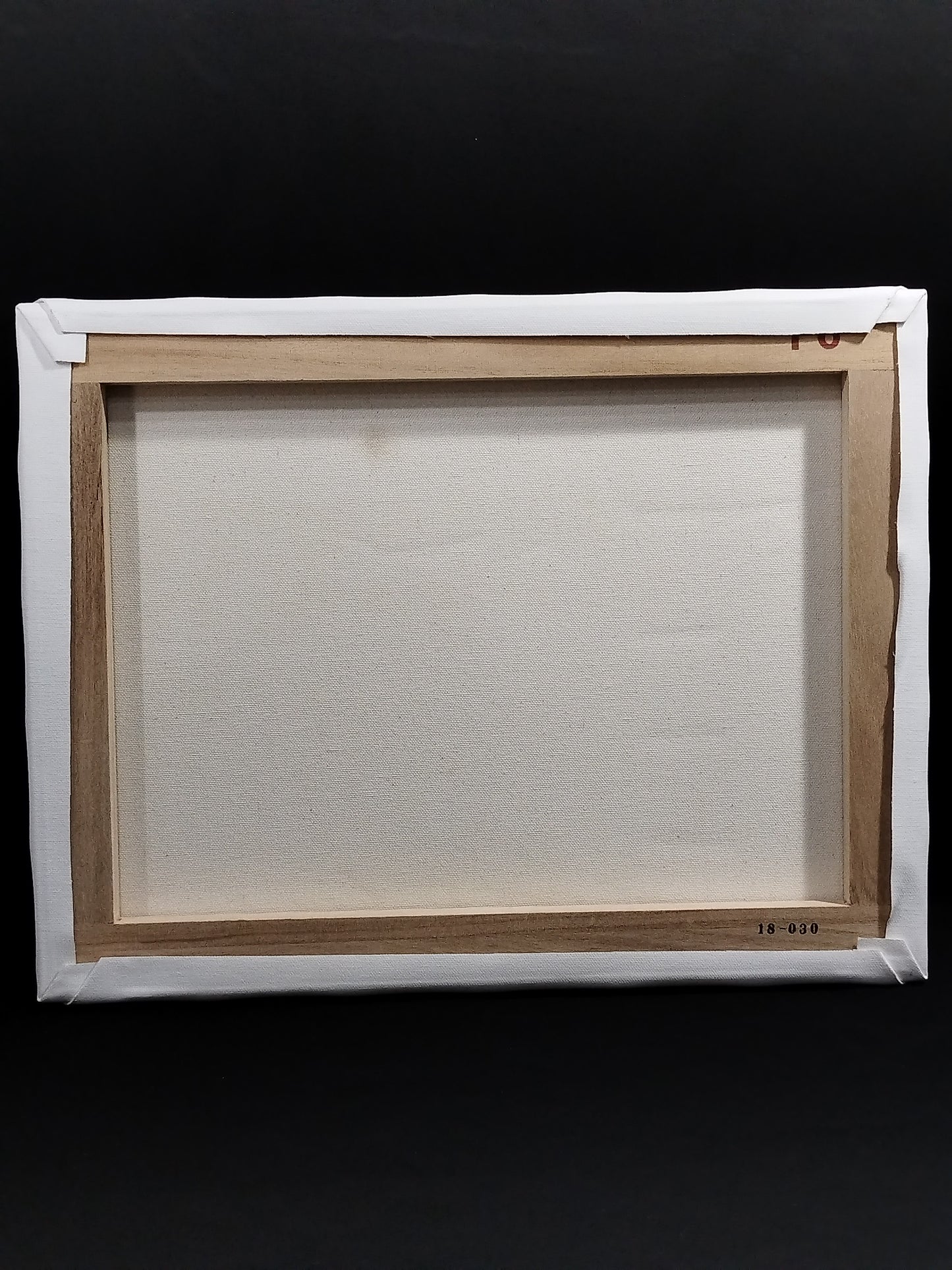 Muto Keiji  hand signed autograph  Canvas Photo Panel