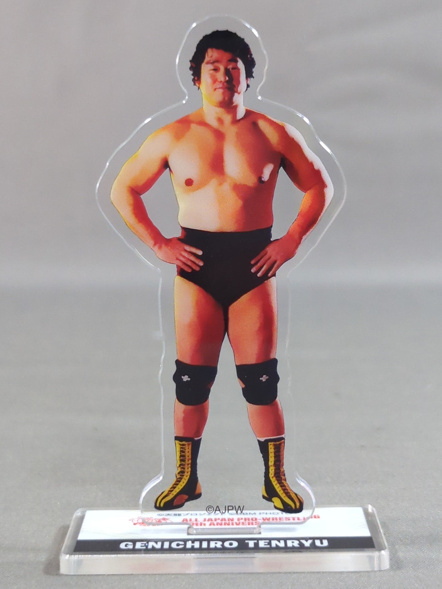 天龍源一郎 全日本プロレス50周年 アクリルスタンド(A)