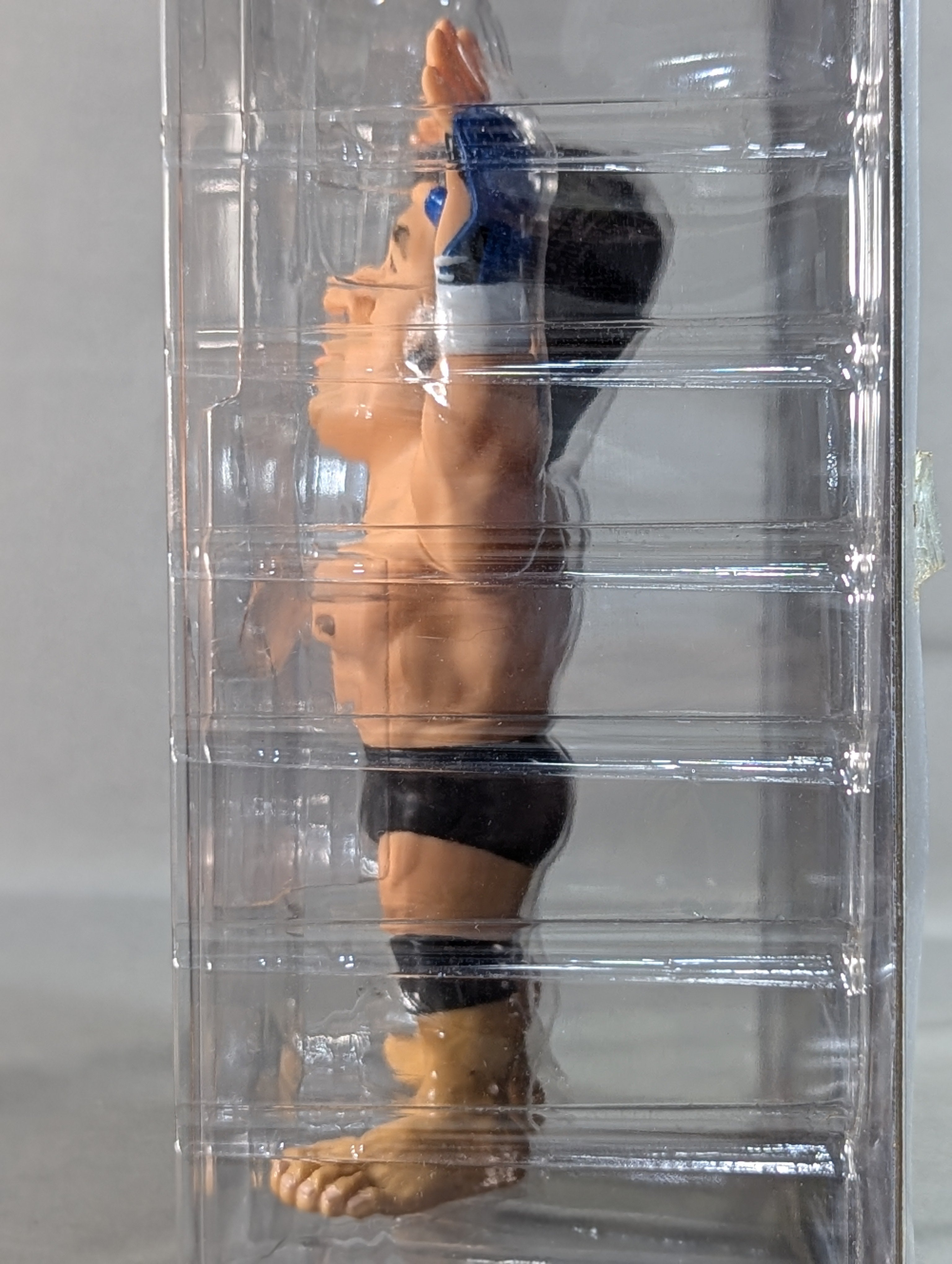 Amazon.co.jp: ヒョードル 高田 延彦 ASUKA プロレス プライド