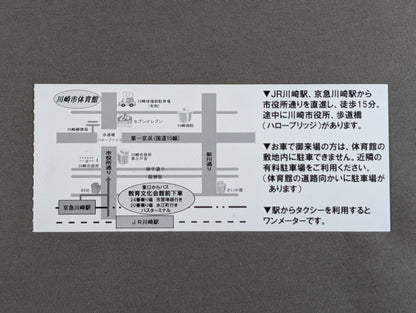 井上京子デビュー20周年記念興行 NEO DREAM 2008