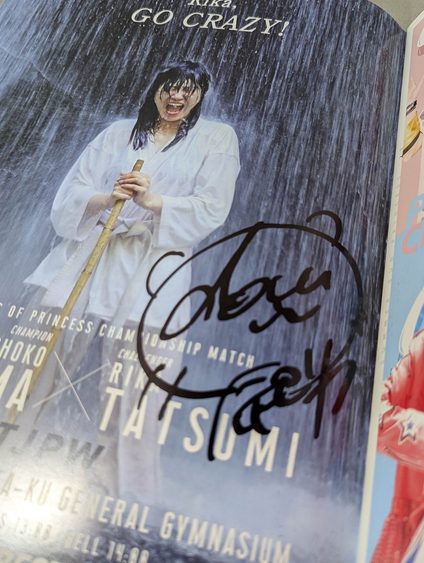 殿堂 辰巳リカ 直筆サイン入り】 TJPW 2022 非売品ポートレートブック コレクション