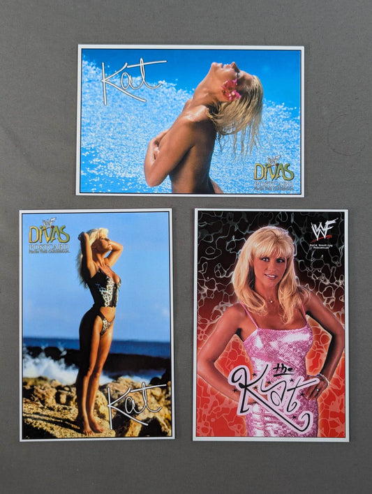 The Cat Postcard Set