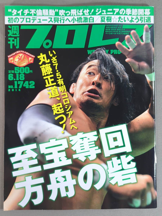 Weekly Pro Wrestling 1742