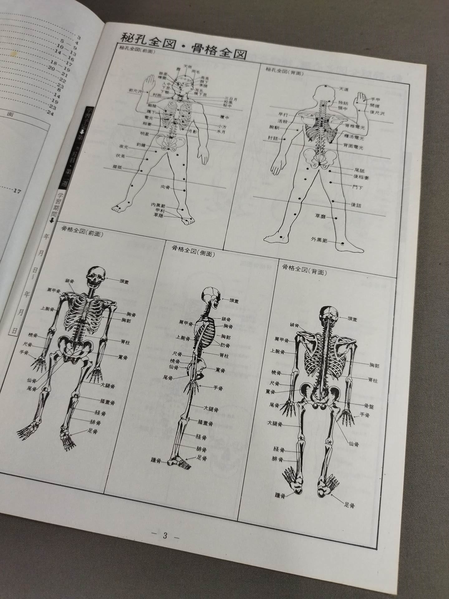 Human Body Secret Hole Diagram (Key Points) Detailed Explanation Course
