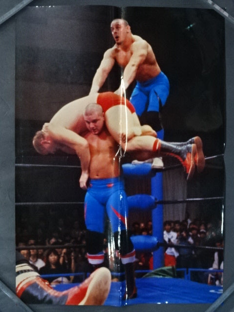 British Bulldogs Posters(1)