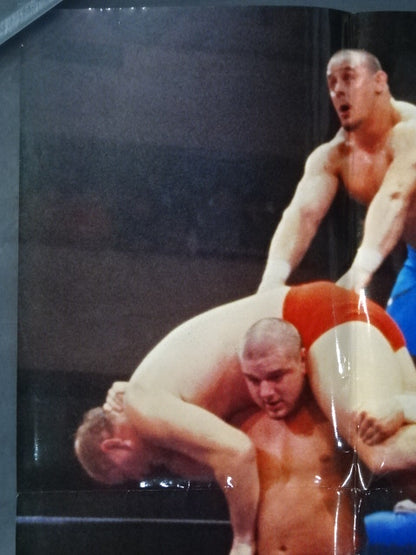 British Bulldogs Posters(1)