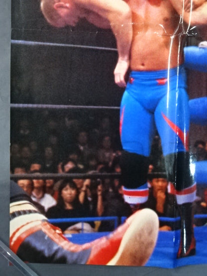 British Bulldogs Posters(1)