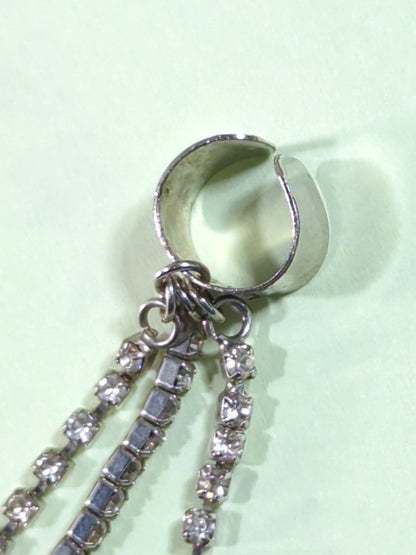 ★ ★ Winner: Asami's earrings