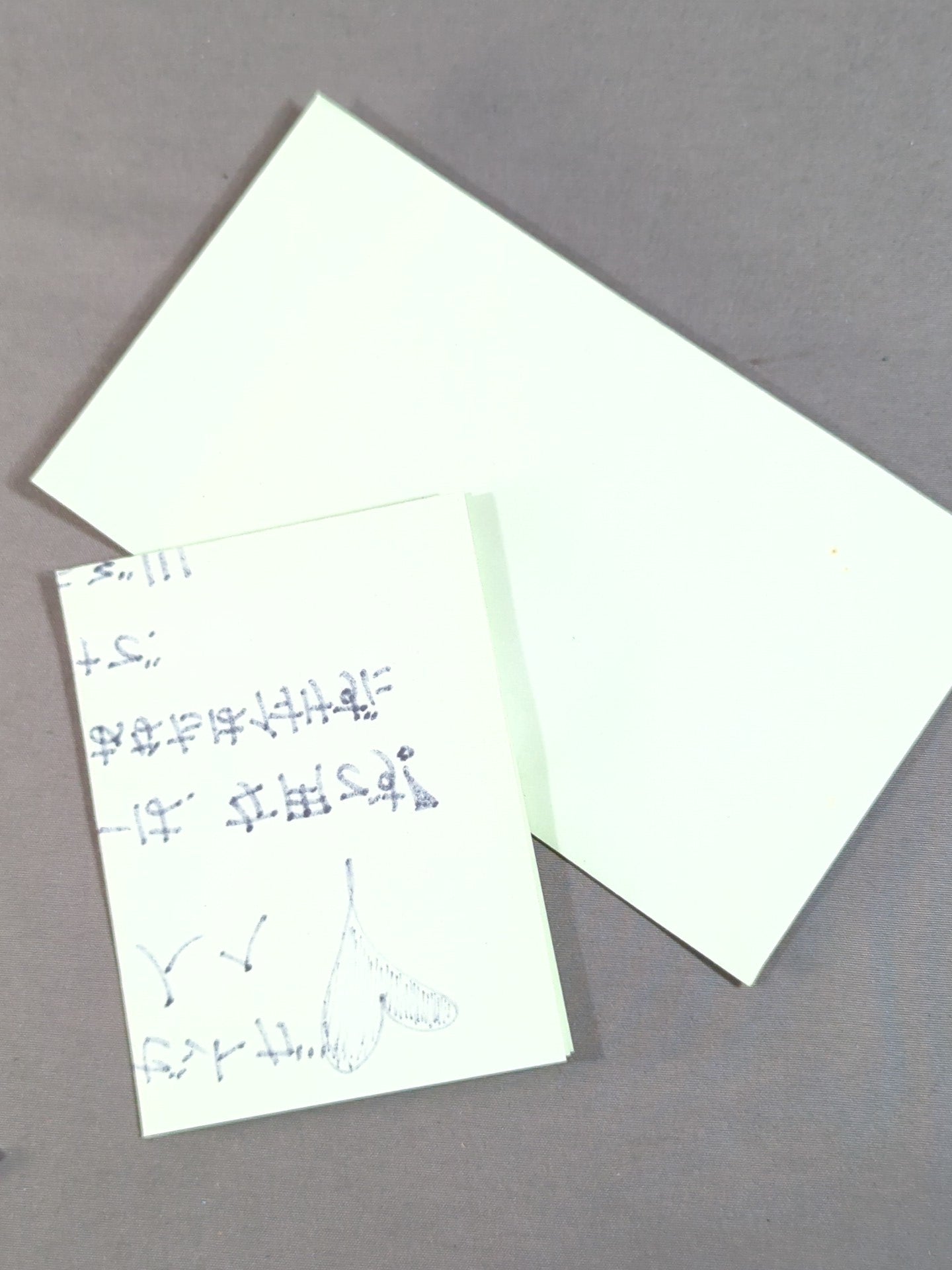 ★ ★ Winner: Asami's earrings