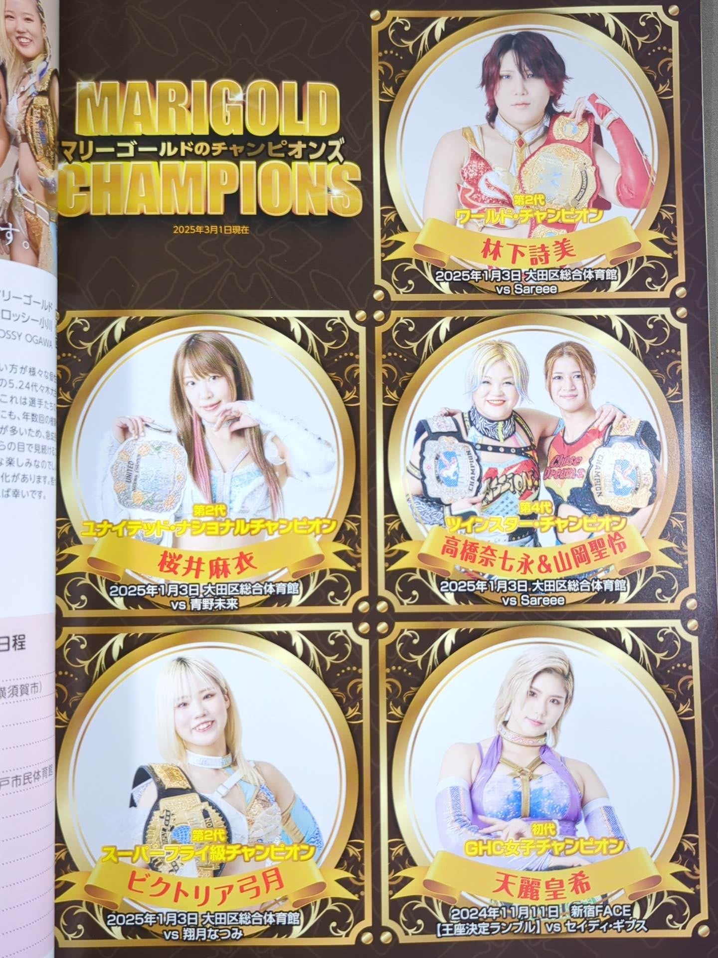 MARIGOLD GUIDE BOOK Vol.9