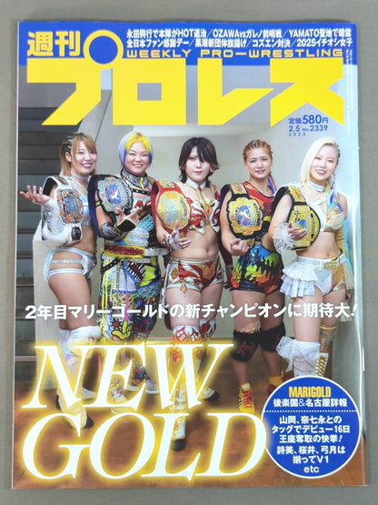 Weekly Pro Wrestling 2339