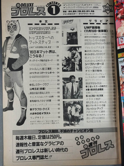 Deluxe Pro Wrestling  January 1985