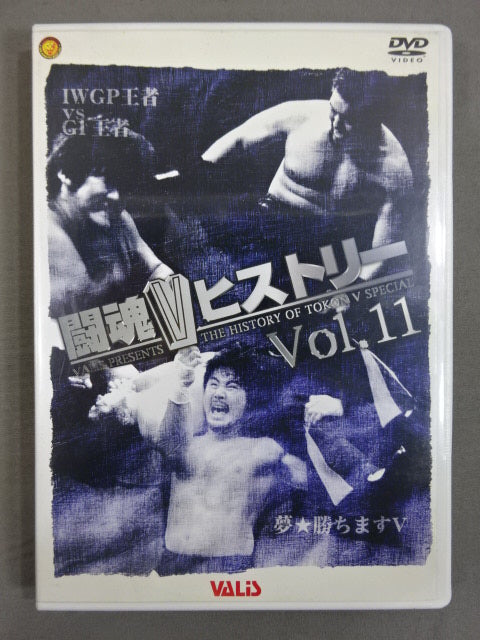 Fighting Spirit V History Vol.11