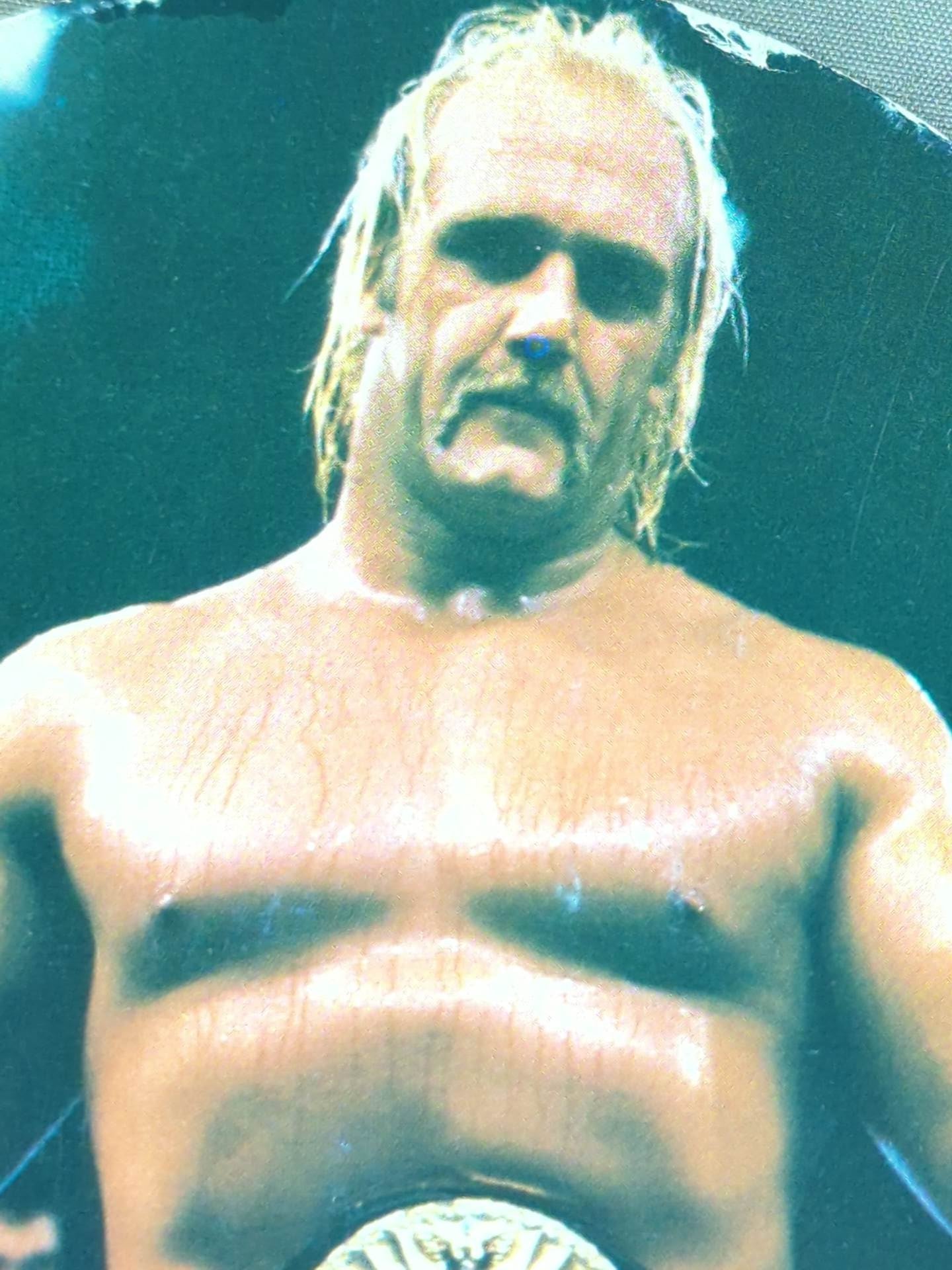★80's Original ★ Hulk Hogan Large Format Menko