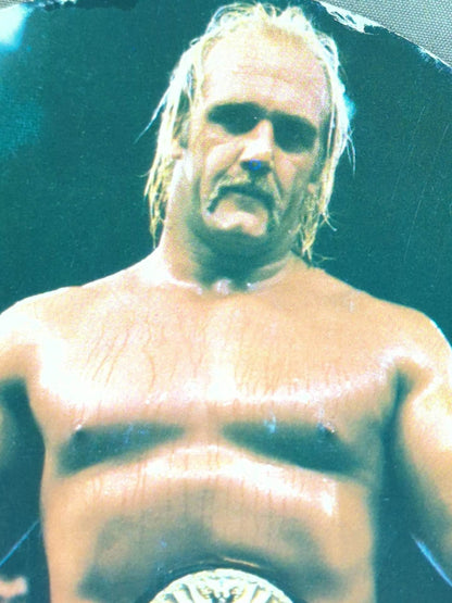 ★80's Original ★ Hulk Hogan Large Format Menko