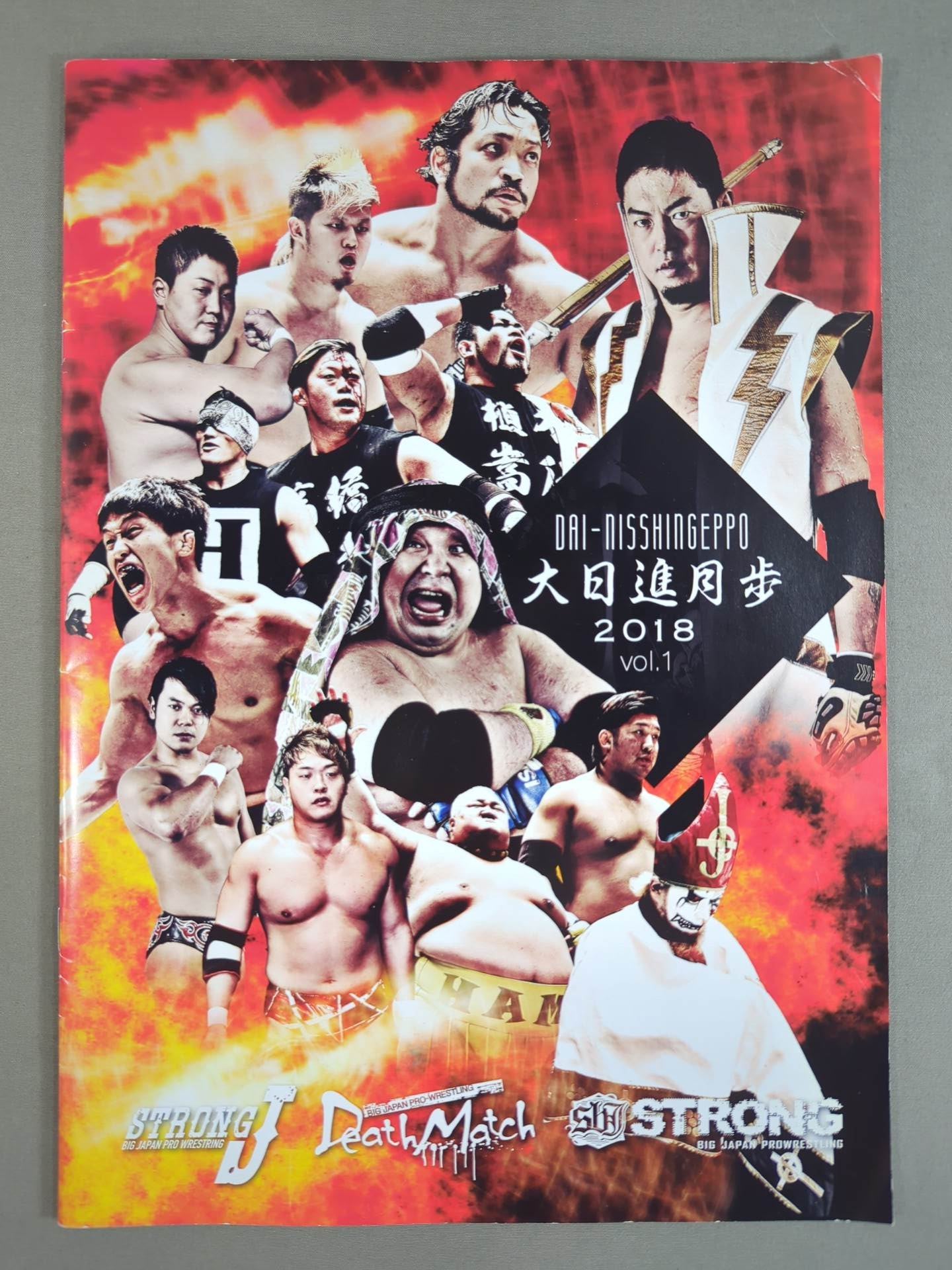 大日進月歩 2018 vol.1