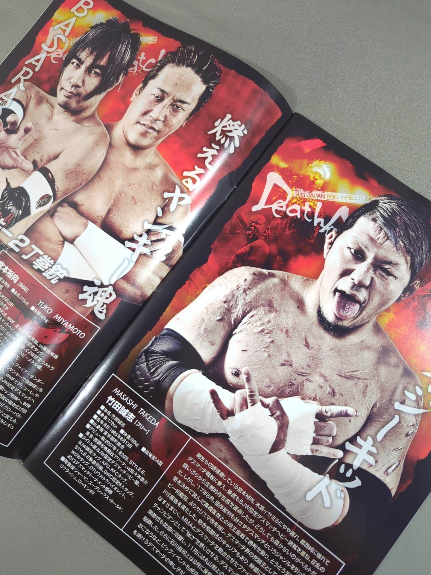 大日進月歩 2018 vol.1