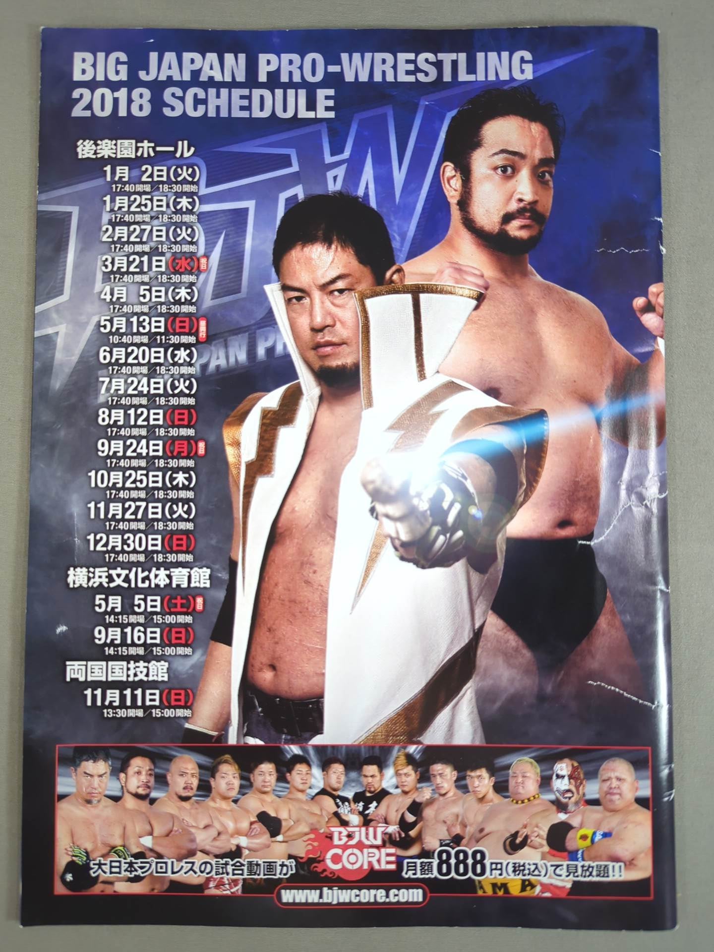 大日進月歩 2018 vol.1