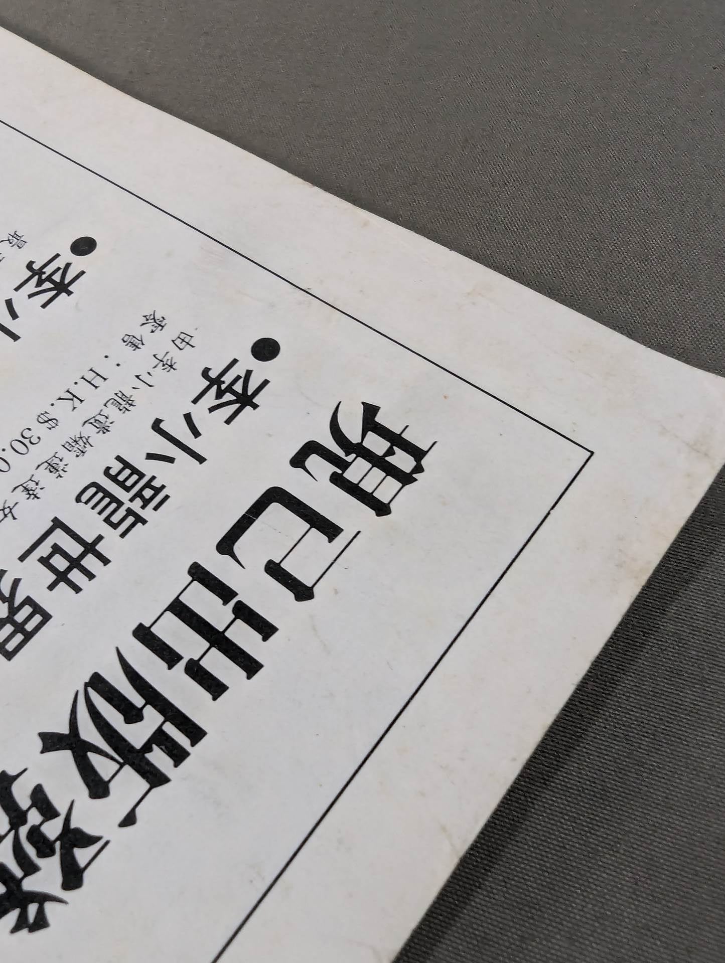 Bruce Lee  World Memorial Special Issue 10