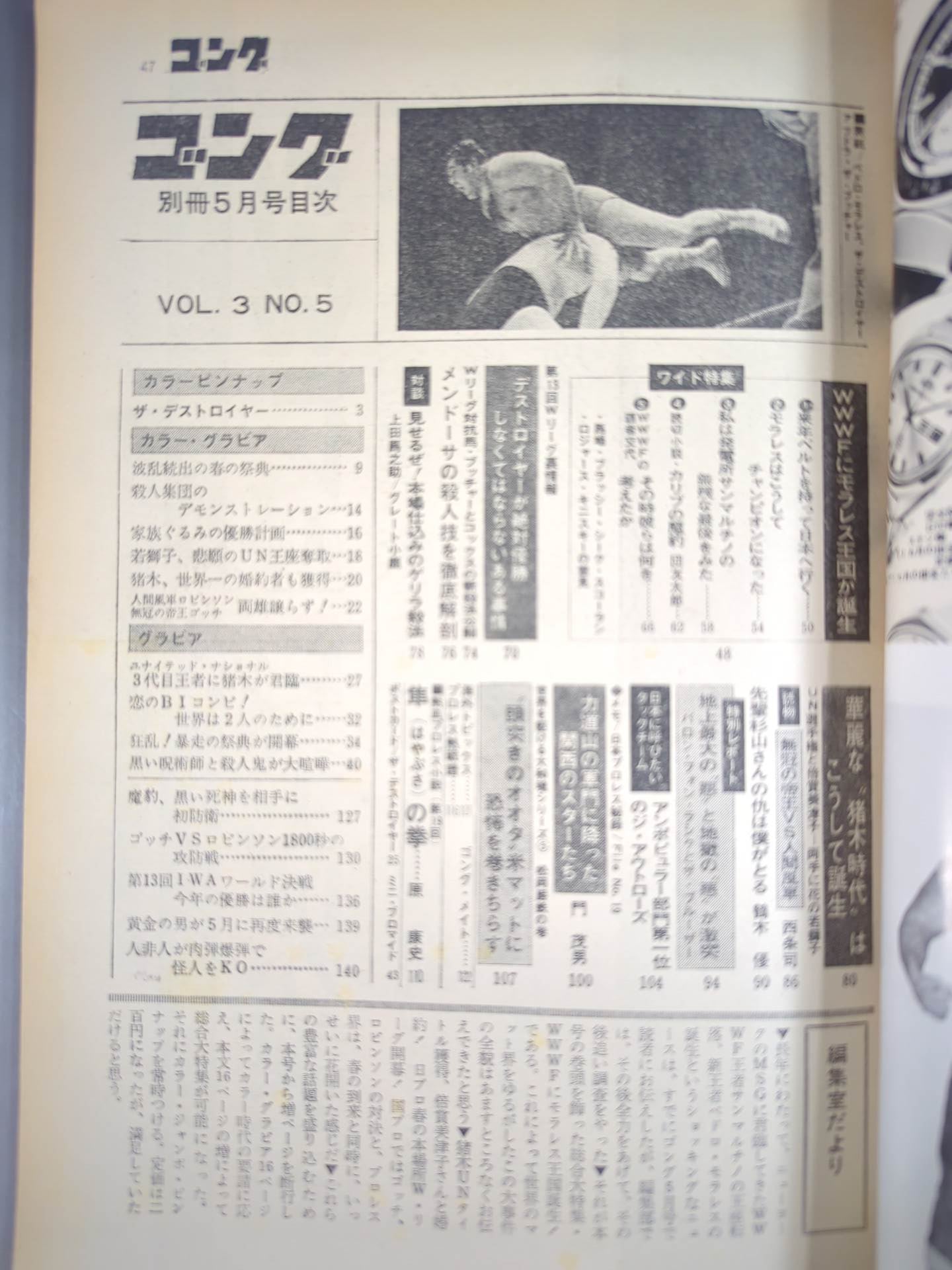 別冊ゴングVol.3 No.5