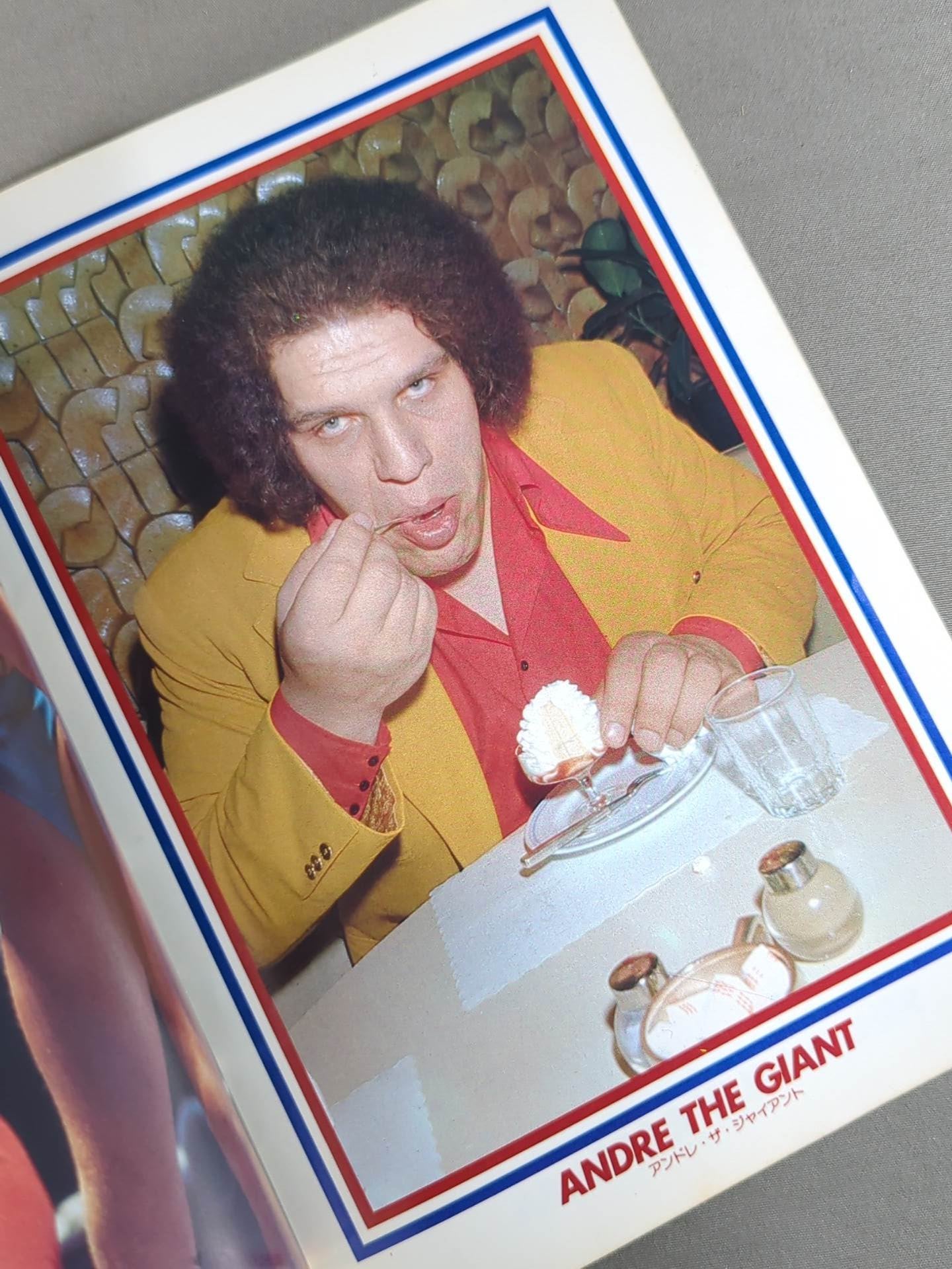 1979 MAT STARS PHOTO ALBAM