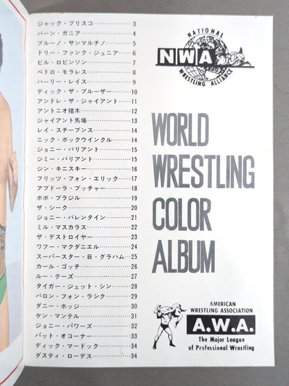 ワールド・wrestling・カラー・アルバム / WORLD Wrestling  COLOR ALBUM Gong Supplement 1974.5