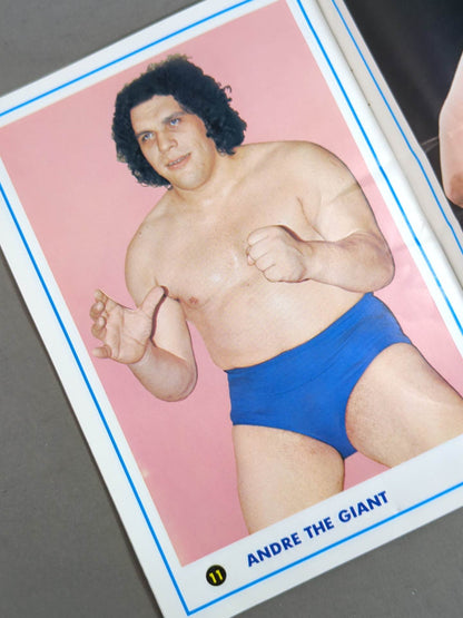 ワールド・wrestling・カラー・アルバム / WORLD Wrestling  COLOR ALBUM Gong Supplement 1974.5