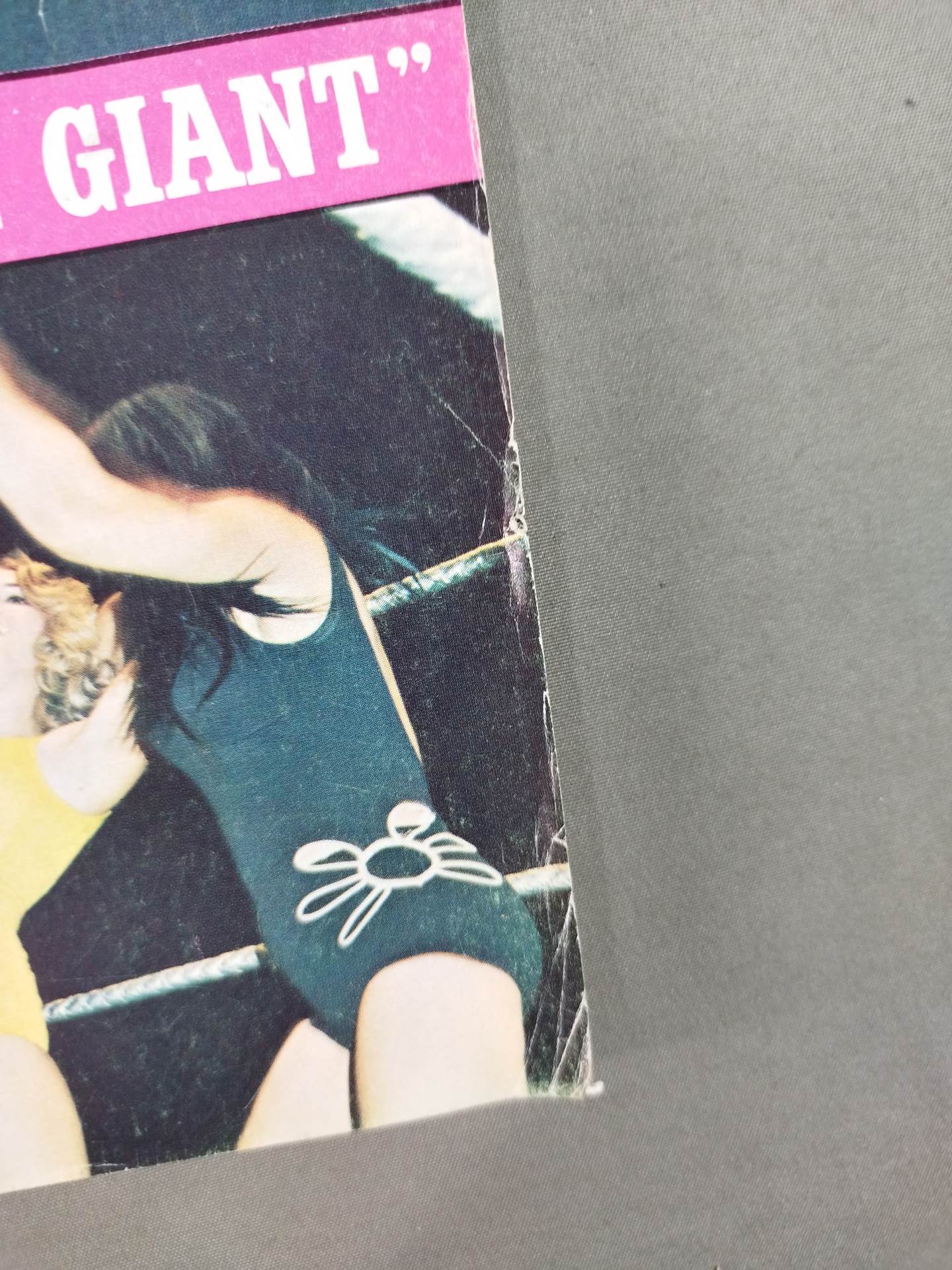THE Wrestler 1974年2月号