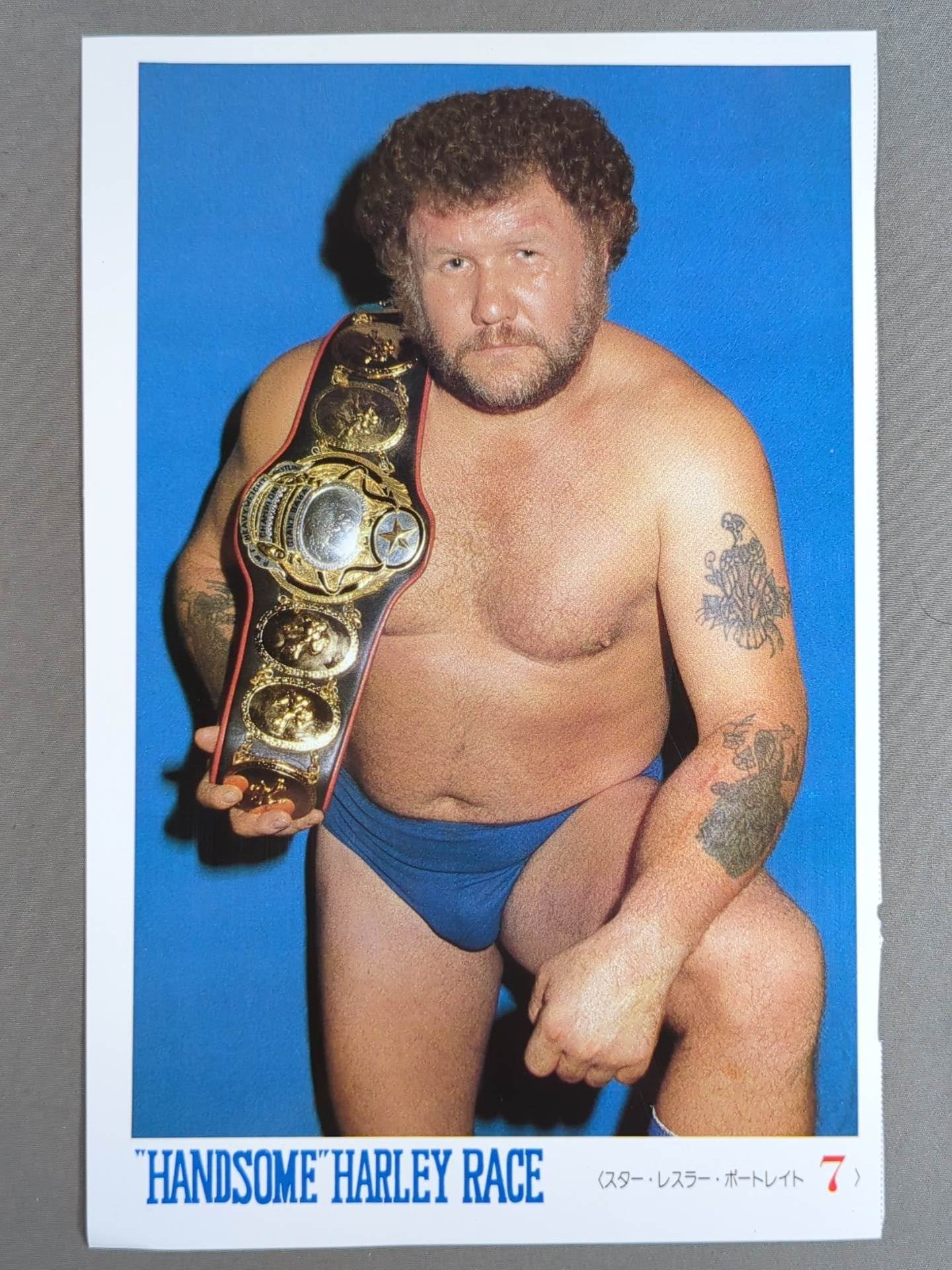 Harley Race  Magazine Appendix Pro-Photo