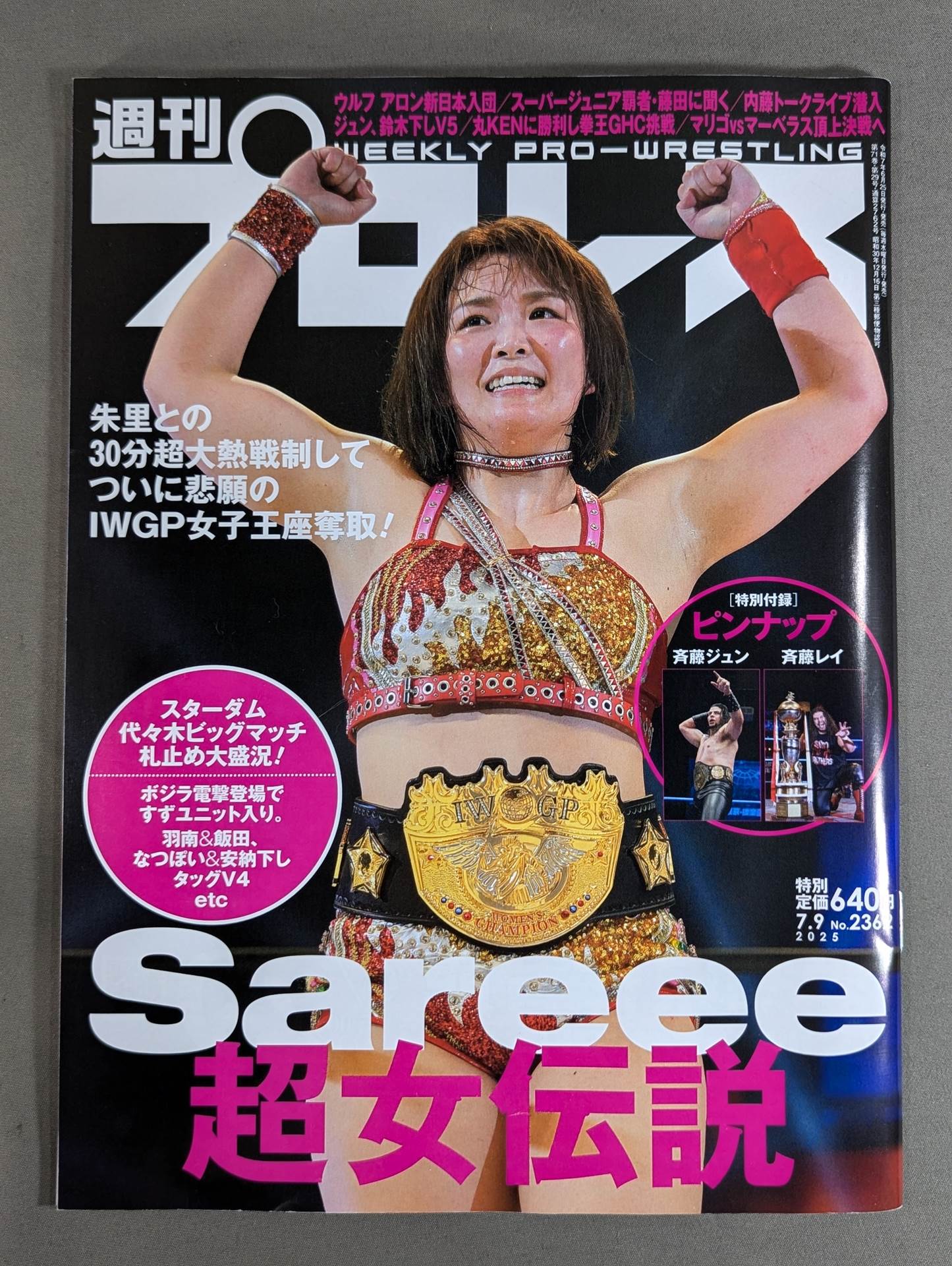 Weekly Pro Wrestling 2362