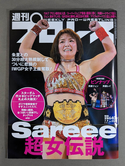 Weekly Pro Wrestling 2362