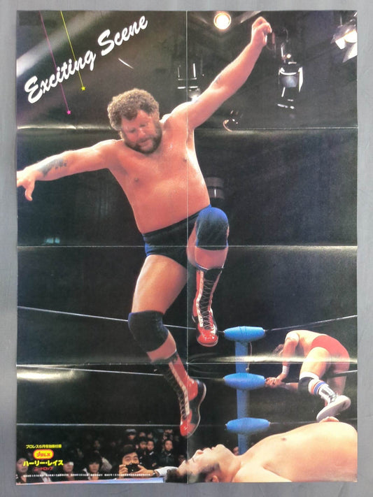 ハーリー・レイス 雑誌付録ポスター