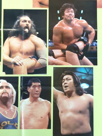 PRO-Wrestling  ALL-STARS Magazine Appendix Poster