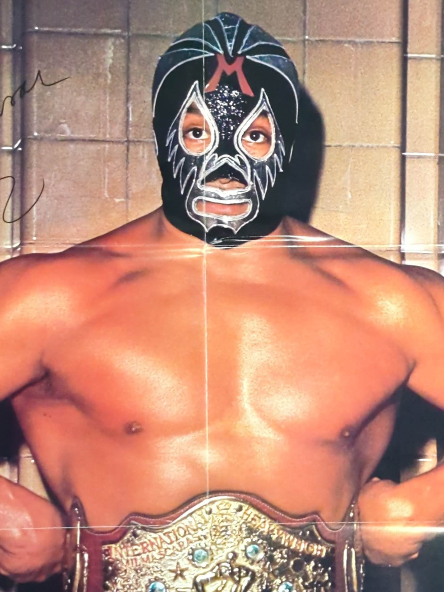Mil Mascaras  Magazine Appendix Poster